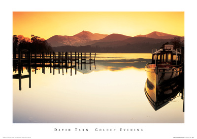 Buy Golden Evening at AllPosters.com
