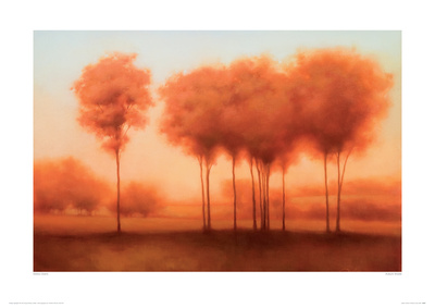 Auburn Shade Giclee Print