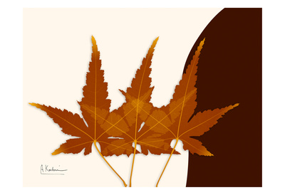 Japanese Maple on Brown and Beige II