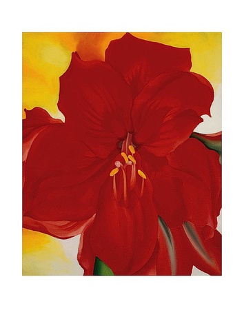 Red Amaryllis, c.1937