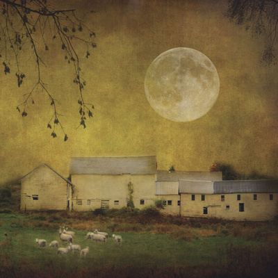 Buy Sheep Under a Harvest Moon at AllPosters.com
