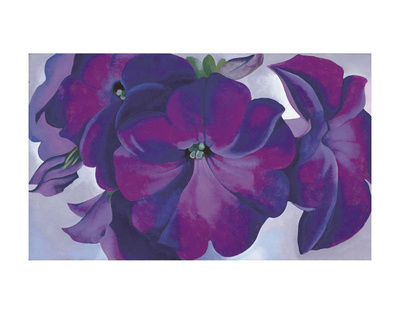 Buy Petunias, c.1925 at AllPosters.com