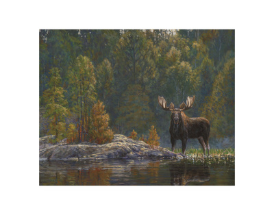 Buy North Country Moose at AllPosters.com