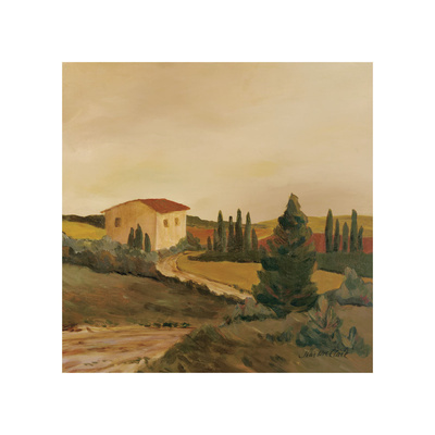 Sunny Tuscan Fields