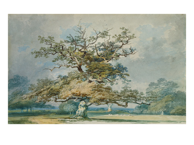 A Landscape with an Old Oak Tree