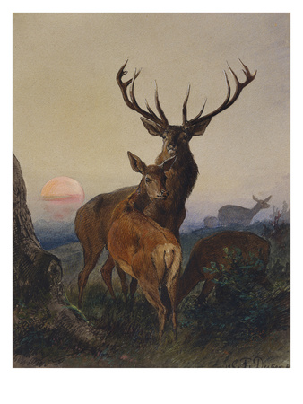 A Stag with Deer in a Wooded Landscape at Sunset