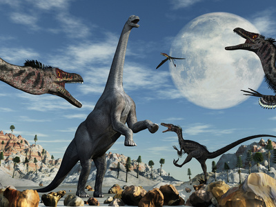 A Lone Camarasaurus Dinosaur Is Confronted by a Pack of Velociraptors