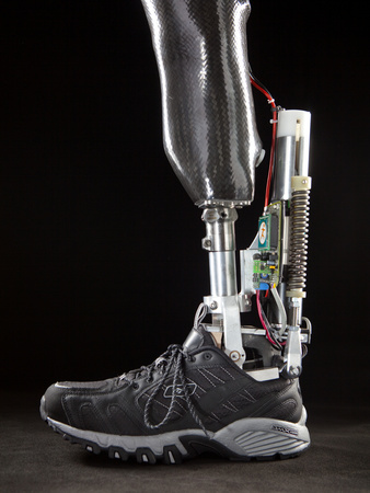 Buy Motorized Springs in a Powered Ankle Push Off Like a Real Leg at AllPosters.com