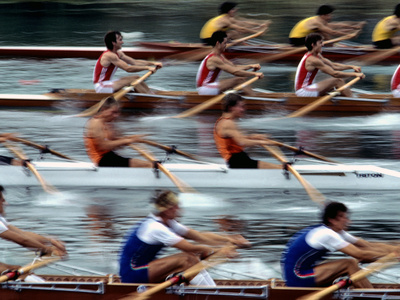Crew Teams Race on Lake Banyoles