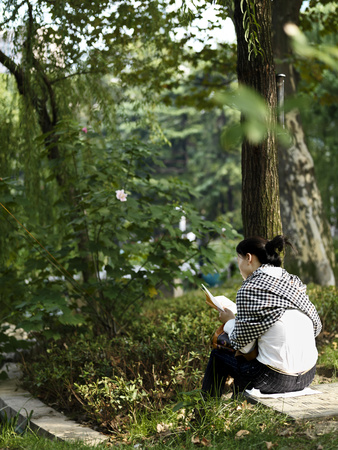 A Young Woman Reads in Jing