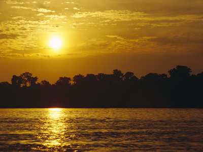Sunset over Lowland Tropical Rainforest Along Amazon River, Amazon Basin, Brazil