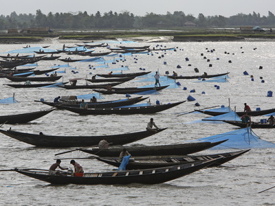 Fishermen Set Nets for Shrimp Larvae Passing on the River Current