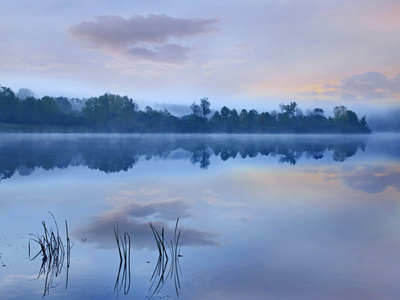 Mist over Lackawanna Lake, Lackawanna State Park, Pennsylvania