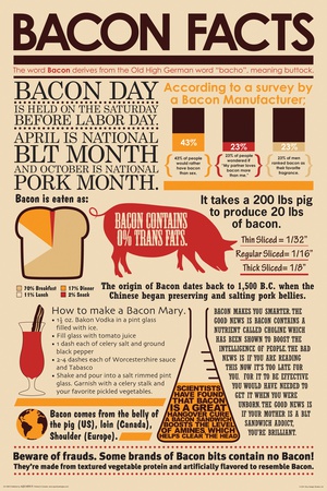Buy Bacon Facts at AllPosters.com