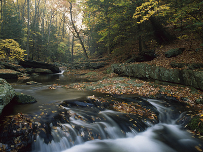 Small Waterfall on Hunting Creek in Fall, Catoctin Mountain Park, Maryland Posters