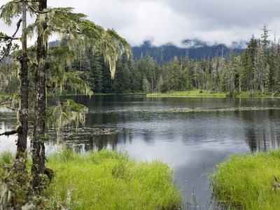 Crane Lake, Tongass National Forest, Mitkof Island, Southeast Alaska