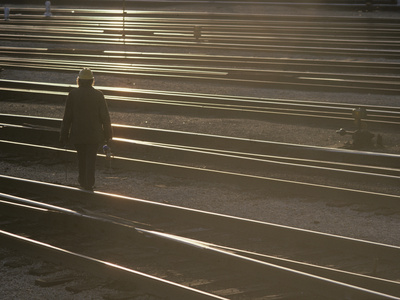 Buy A Railroad Worker with a Lantern and Yellow Hard Hat and Tracks at AllPosters.com