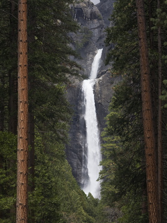 Buy Scenic Lower Yosemite Fall Framed by Pine Trees at AllPosters.com