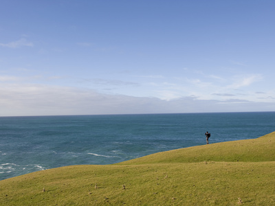 A Hiker at an Overlook Near the Pudding Beach Seal Colony