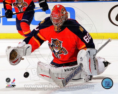 Buy Jose Theodore 2011-12 Action at AllPosters.com