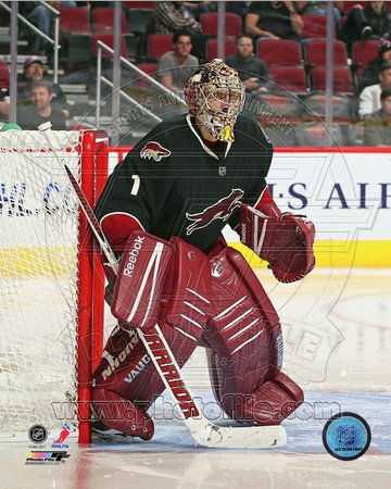 Buy Jason LaBarbera 2011-12 Action at AllPosters.com