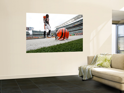 Buy Steelers Bengals Football: Cincinnati, OH - Cedric Benson at AllPosters.com