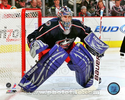 Buy Steve Mason 2011-12 Action at AllPosters.com