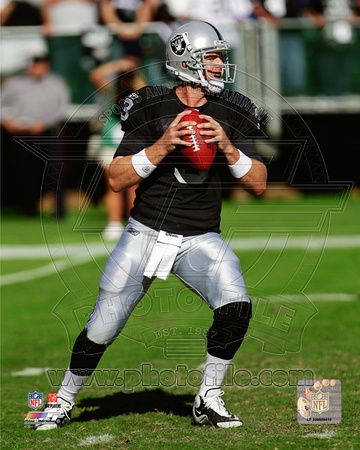 Carson Palmer 2011 Action