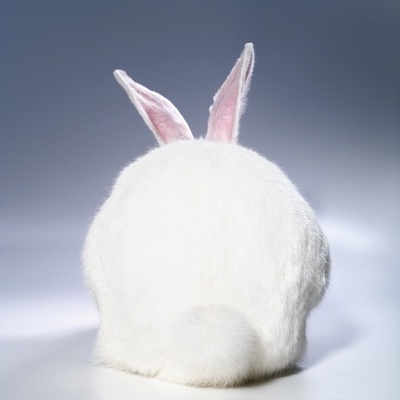 White Rabbit