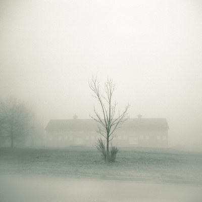 Foggy Morning Scene with Barn