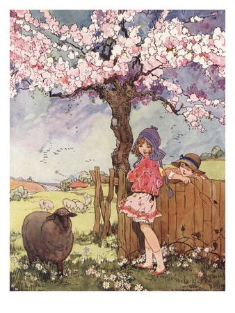 Baa, Baa! Black Sheep