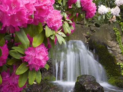 Buy Waterfall at AllPosters.com
