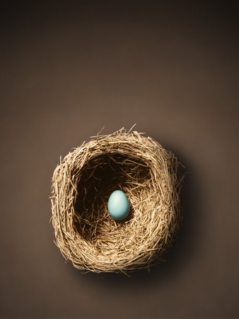Single Egg in Nest