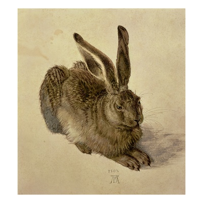 Hare