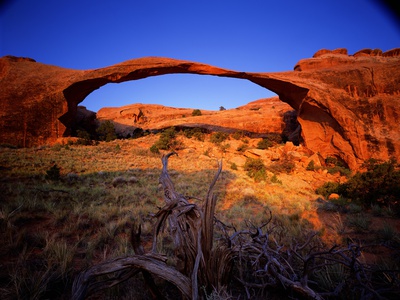 Buy Landscape Arch in Arches National Park at AllPosters.com