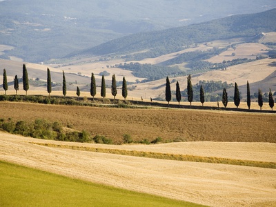 Rolling Tuscan Countryside