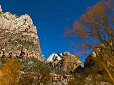 Stars at Zion National Park Poster