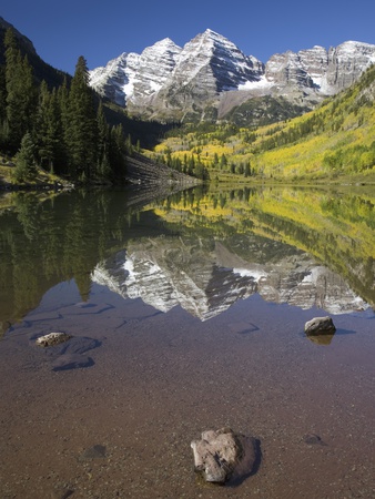 Aspens reflecting in lake under Maroon Bells, Colorado Poster