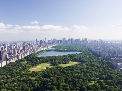 Aerial View of Central Park Posters