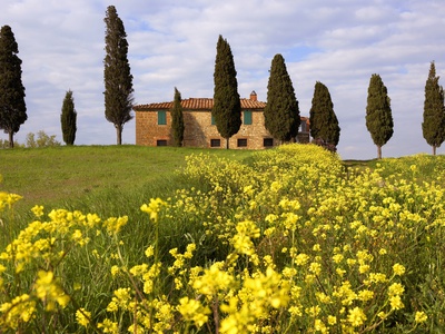 Orcia valley in spring