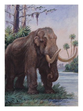 When the age of man began, the mastodon still inhabited North America