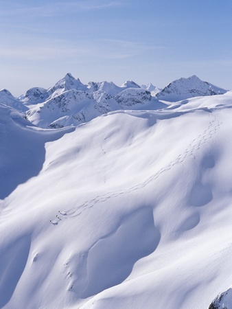 Skiers in Whistler Back Country, Coast Mountains, British Columbia, Canada.