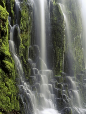 USA, Oregon, Proxy Falls - Waterfall Details
