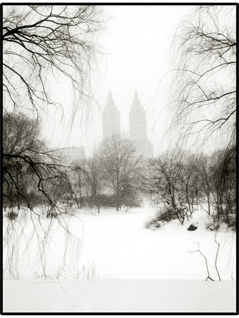 Central Park Snow