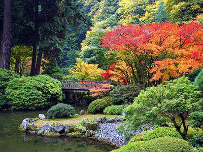 Fall Colors at Portland Japanese Gardens, Portland Oregon