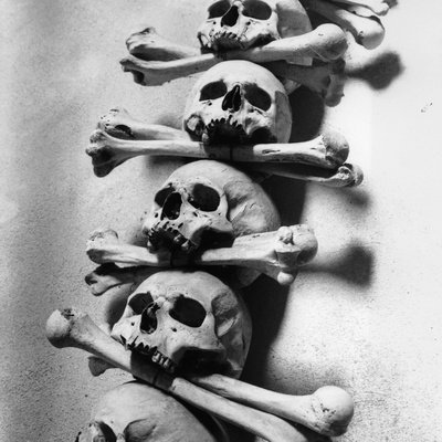 Skulls and Bones