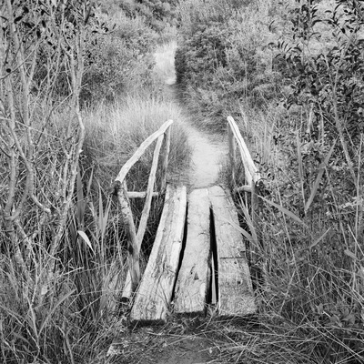 Buy Footbridge at AllPosters.com