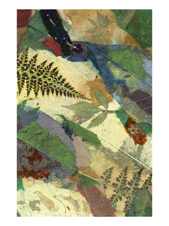 Evolution, GBR I