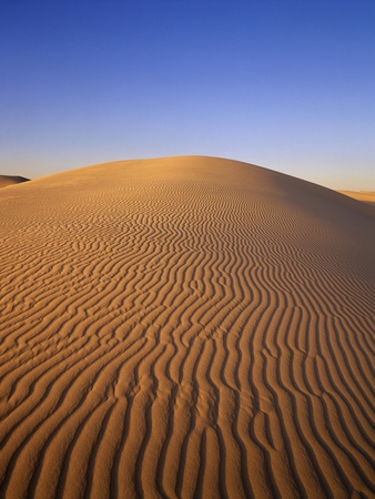 Buy Ripples Covering Sand Dune at AllPosters.com