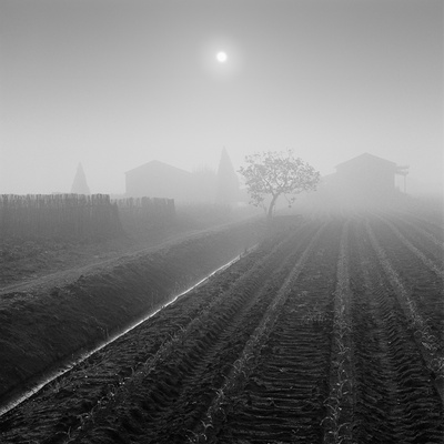 Buy Farm and Culvert at AllPosters.com